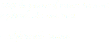 Adopt the patience of nature: her secret is patience. She. Can. Even. - Ralph Waldo Emerson